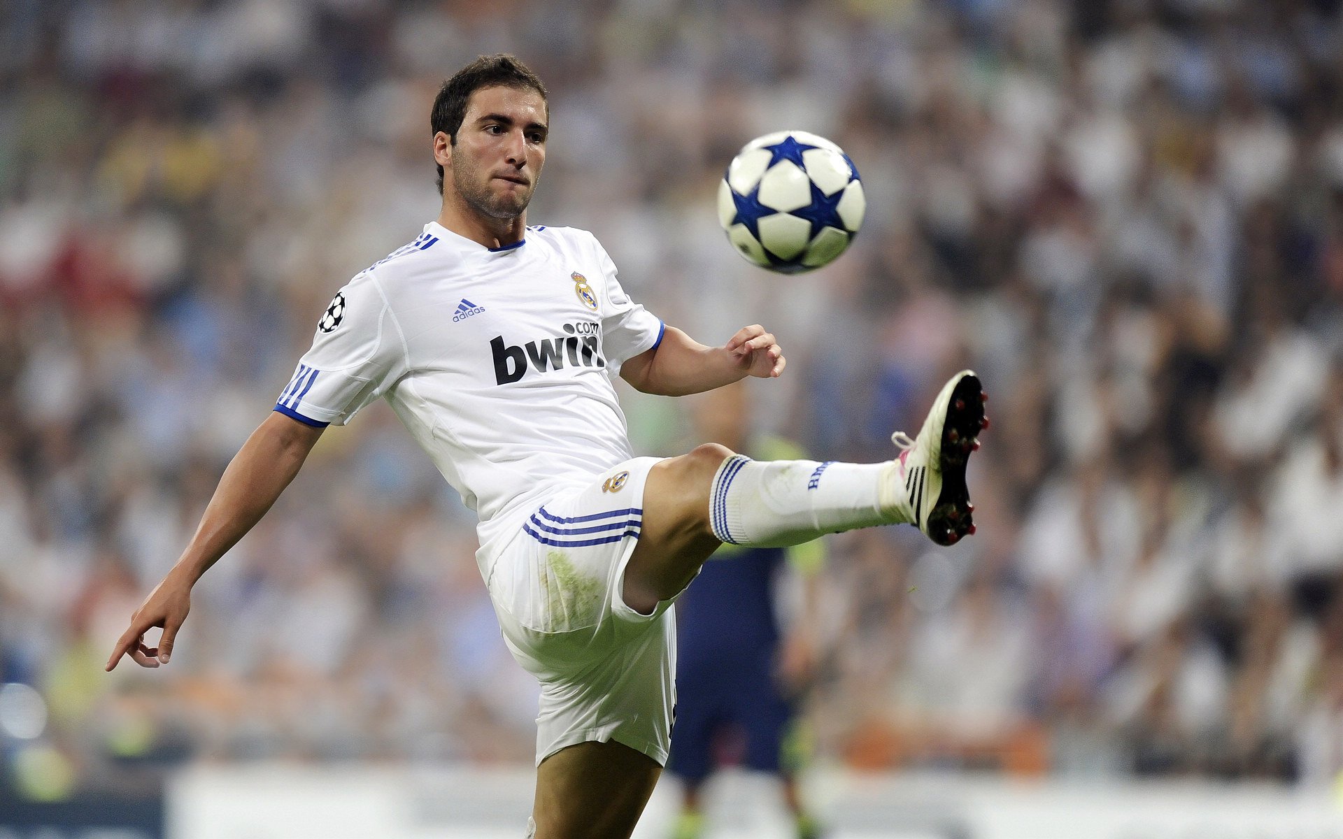 体育明星品牌建设